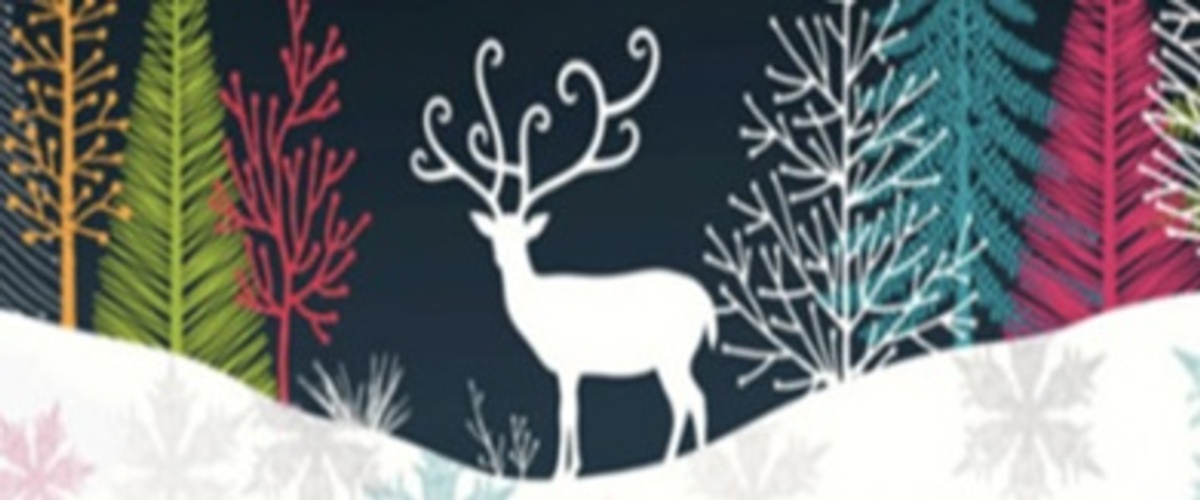 Calling all Stall Holders for Christmas Fair 2018